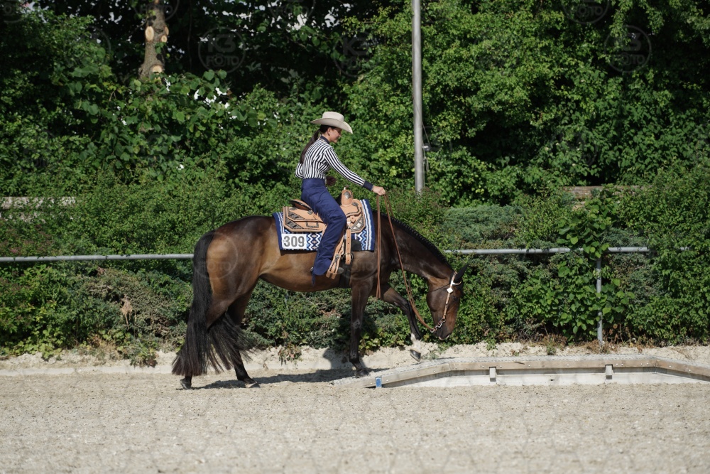 s_APF06718.jpg